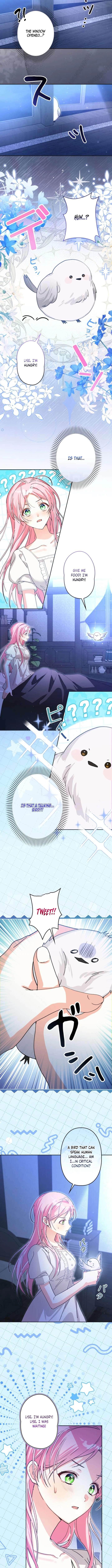 I Ended Up Becoming the Villain’s Personal Chef Chapter 4 - Page 9