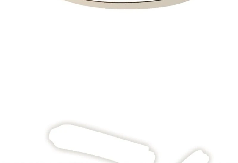 I Failed to Throw the Villain Away Chapter 138 - Page 83