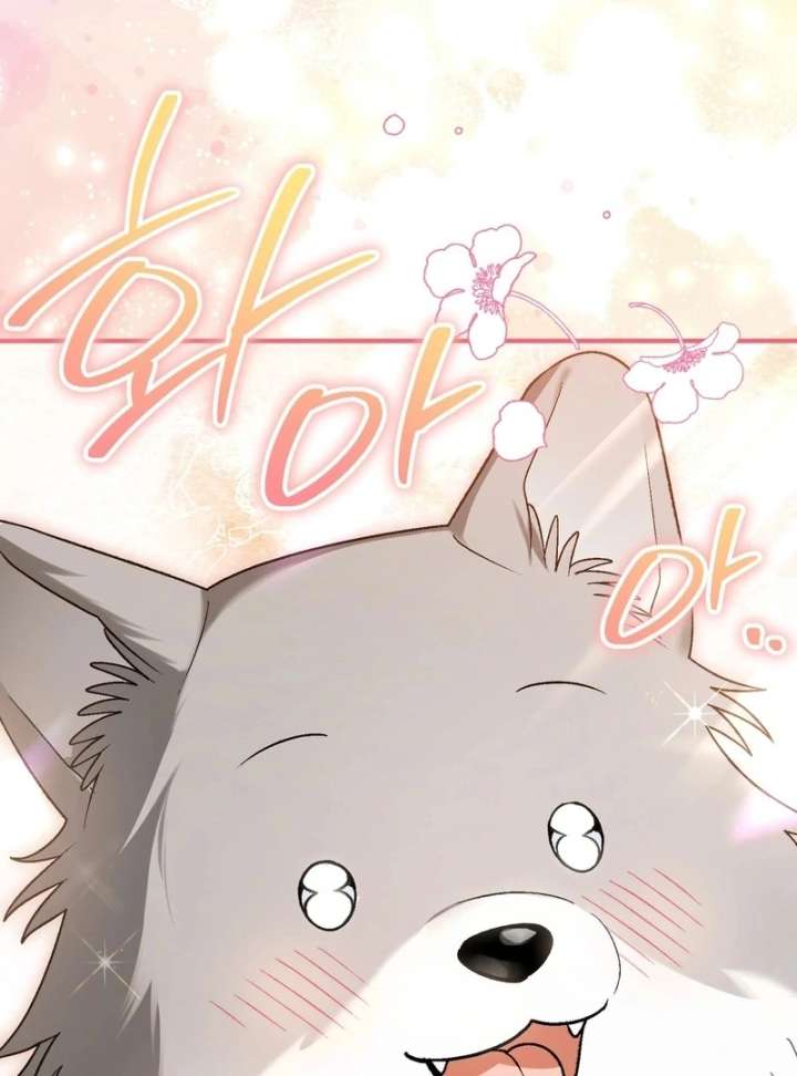 I Opened an Illegal Veterinary Clinic in Another World Chapter 19 - Page 144