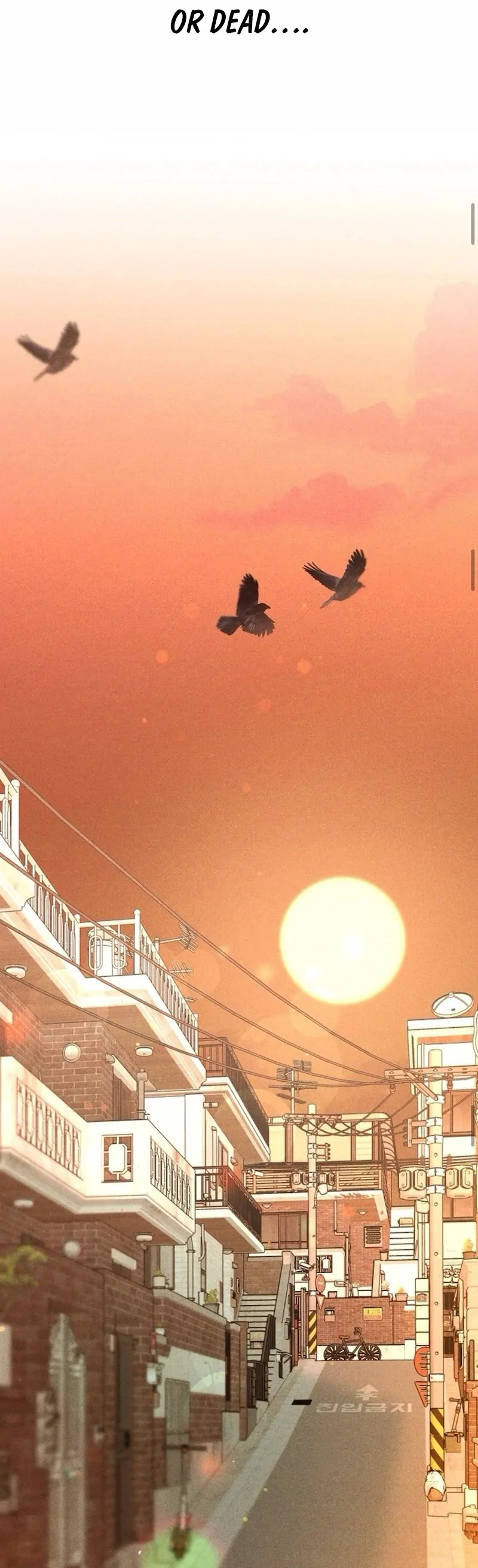 I Picked Up a Crazy Oppa Chapter 1 - Page 117