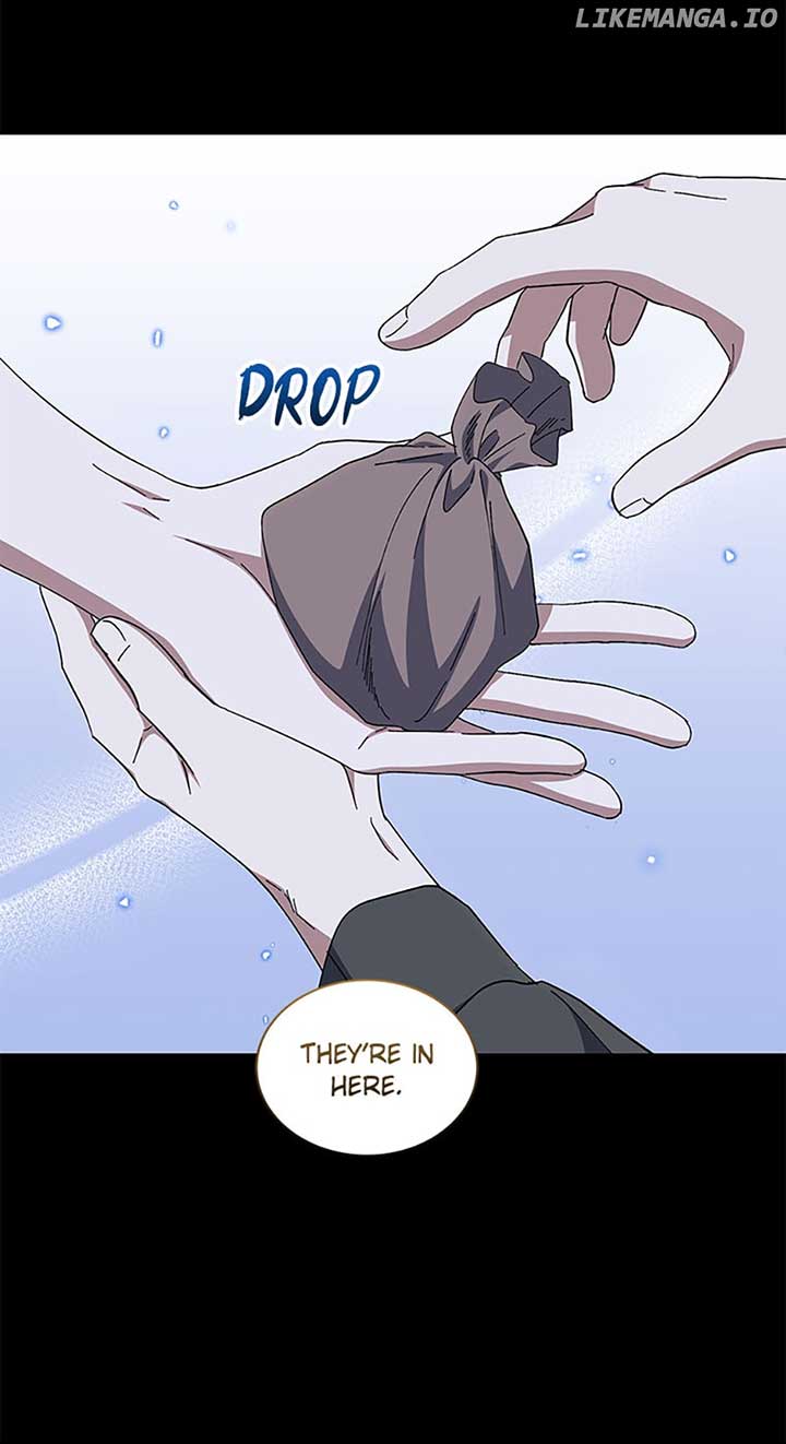 I Plan to Become the Master of a Stolen Family Chapter 49 - Page 28