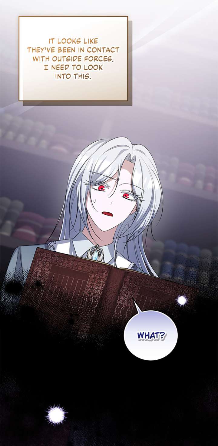 I Plan to Become the Master of a Stolen Family Chapter 73 - Page 23