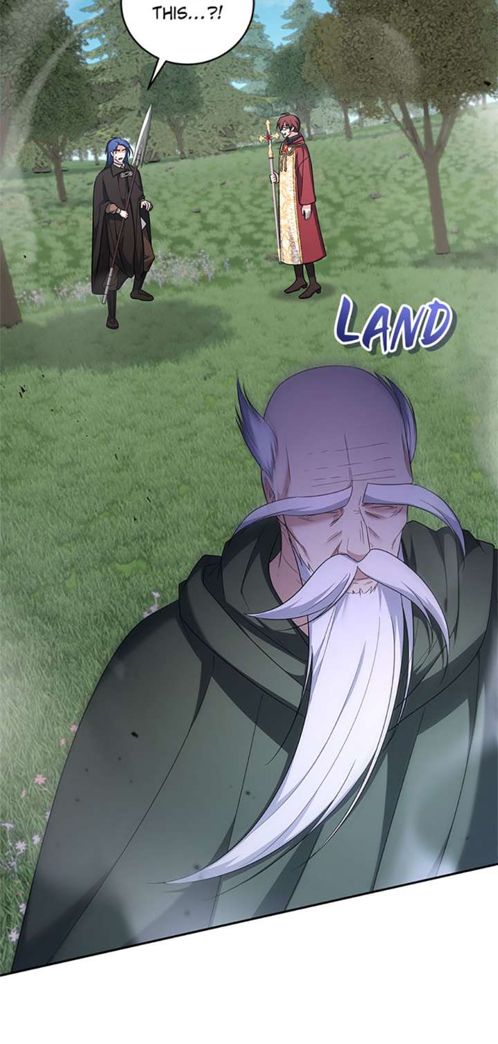 I Plan to Become the Master of a Stolen Family Chapter 76 - Page 32