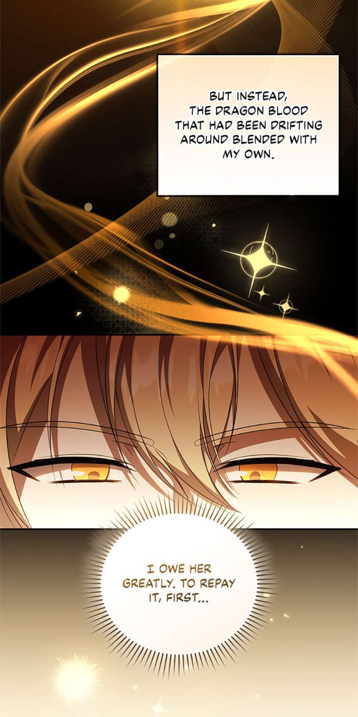 I Plan to Become the Master of a Stolen Family Chapter 81 - Page 38