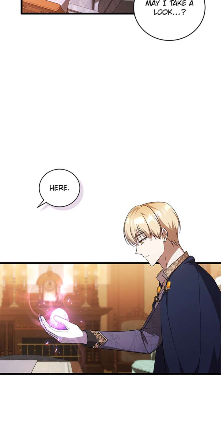 I Plan to Become the Master of a Stolen Family Chapter 82 - Page 31