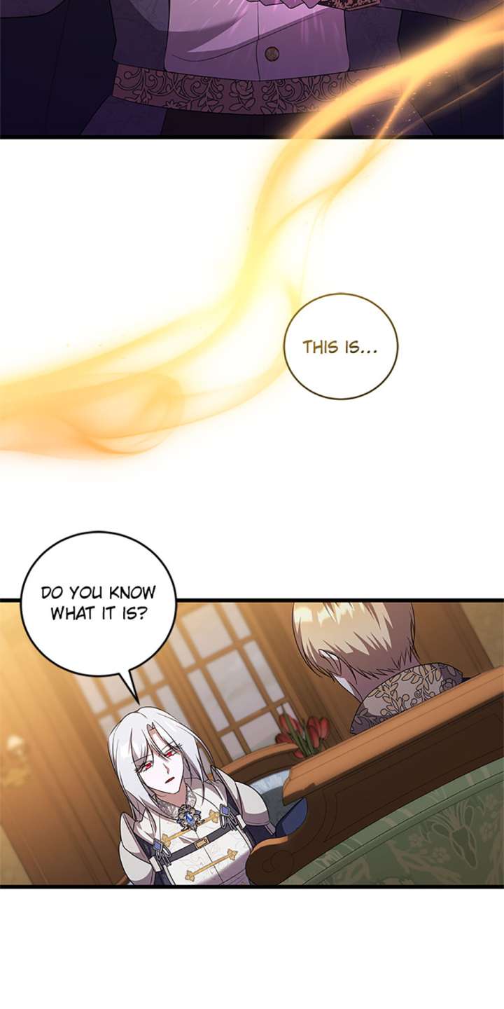 I Plan to Become the Master of a Stolen Family Chapter 82 - Page 33