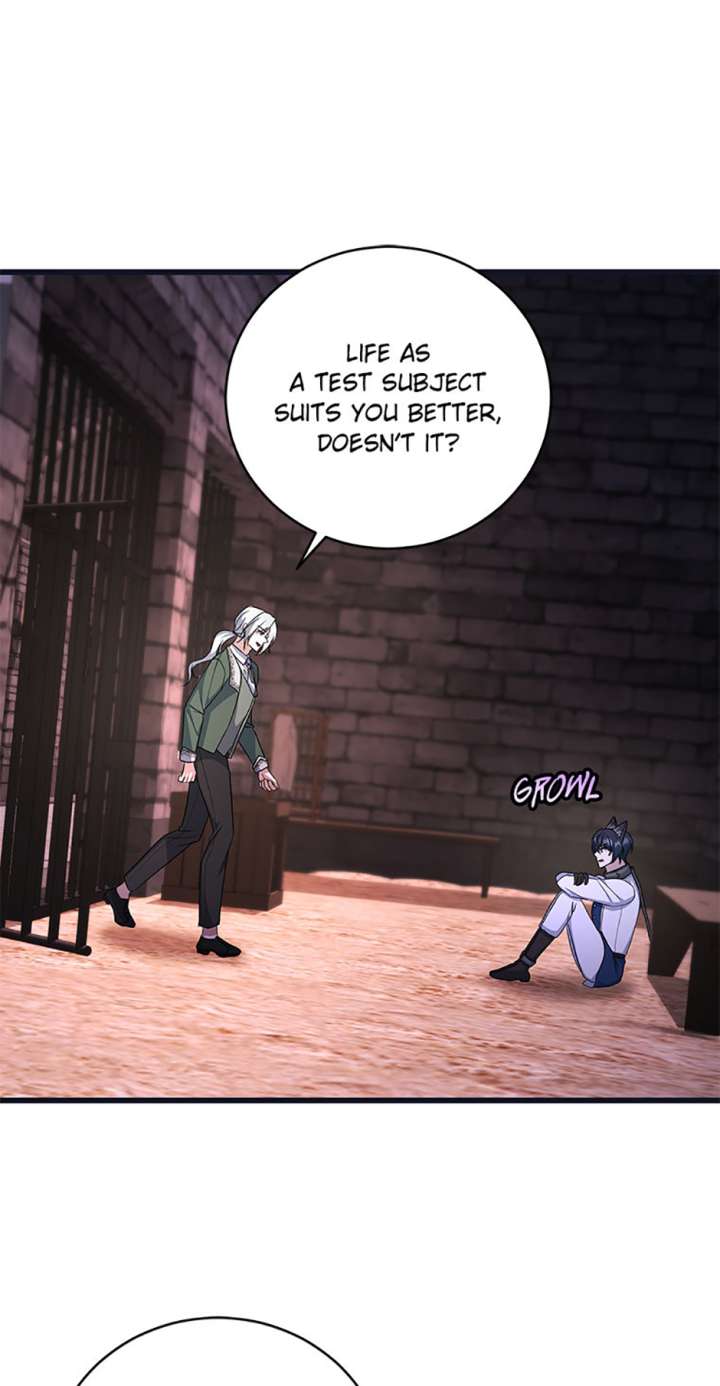 I Plan to Become the Master of a Stolen Family Chapter 84 - Page 42