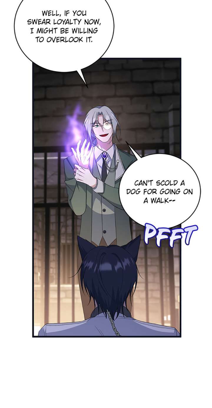 I Plan to Become the Master of a Stolen Family Chapter 84 - Page 43