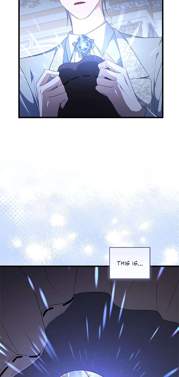 I Plan to Become the Master of a Stolen Family Chapter 86 - Page 57