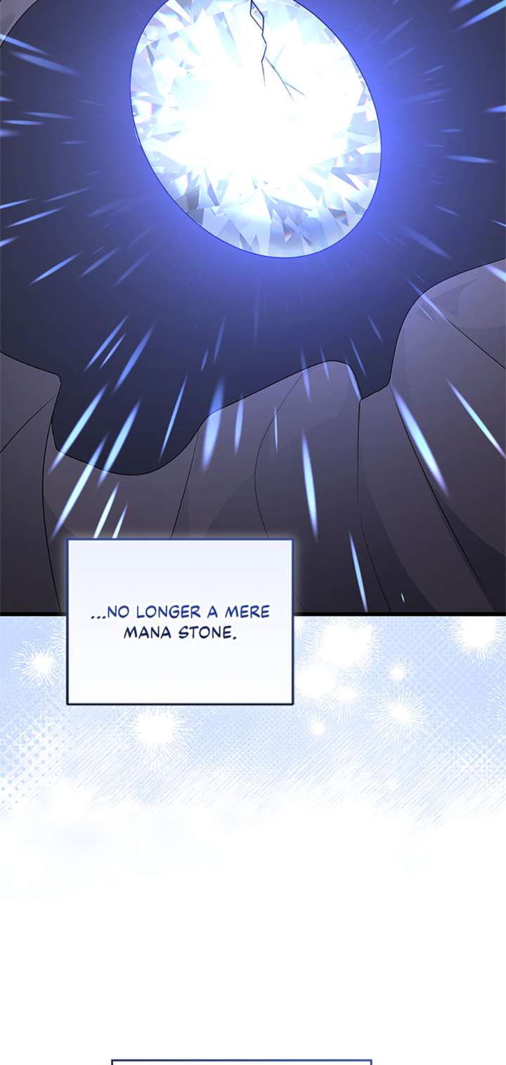 I Plan to Become the Master of a Stolen Family Chapter 86 - Page 58