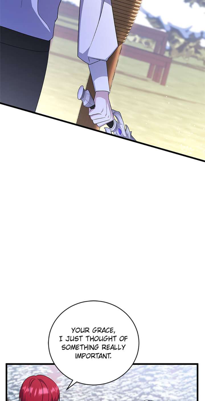 I Plan to Become the Master of a Stolen Family Chapter 87 - Page 45