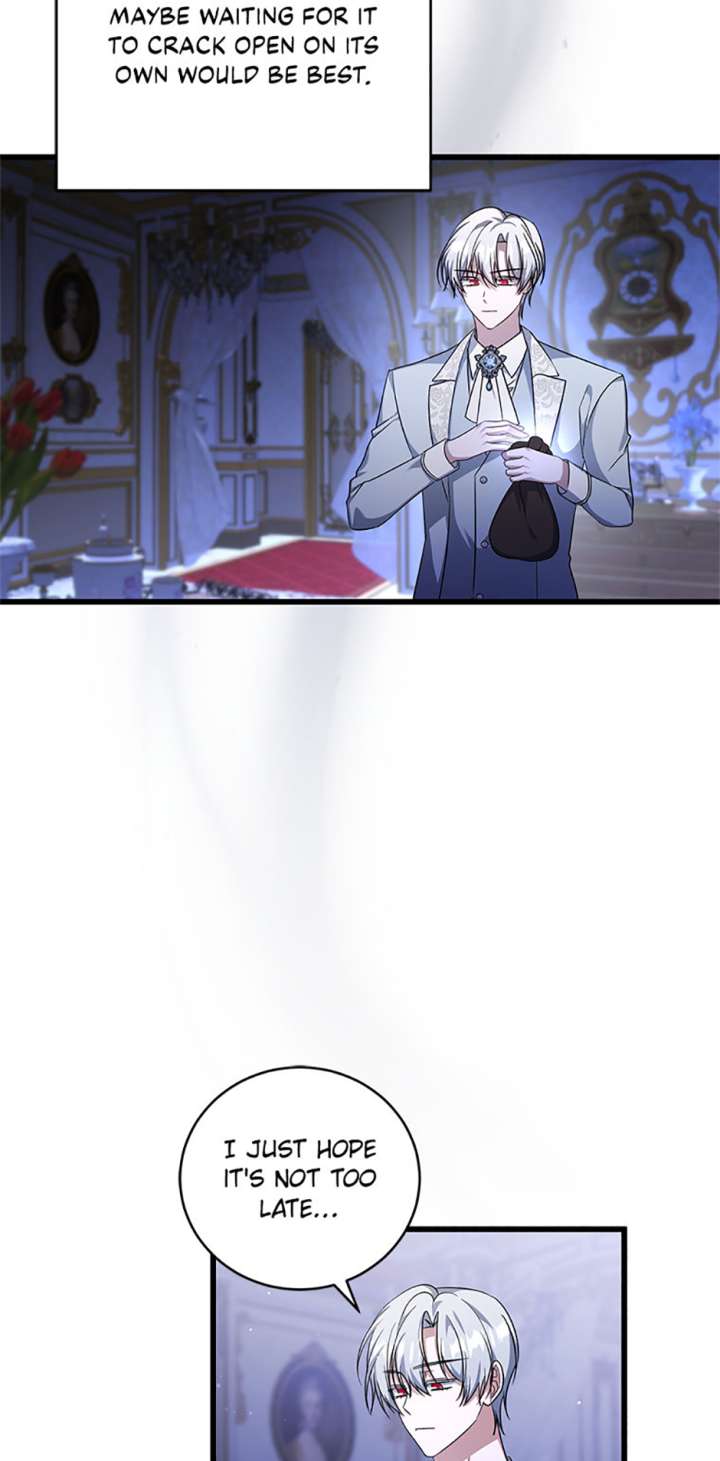 I Plan to Become the Master of a Stolen Family Chapter 87 - Page 7