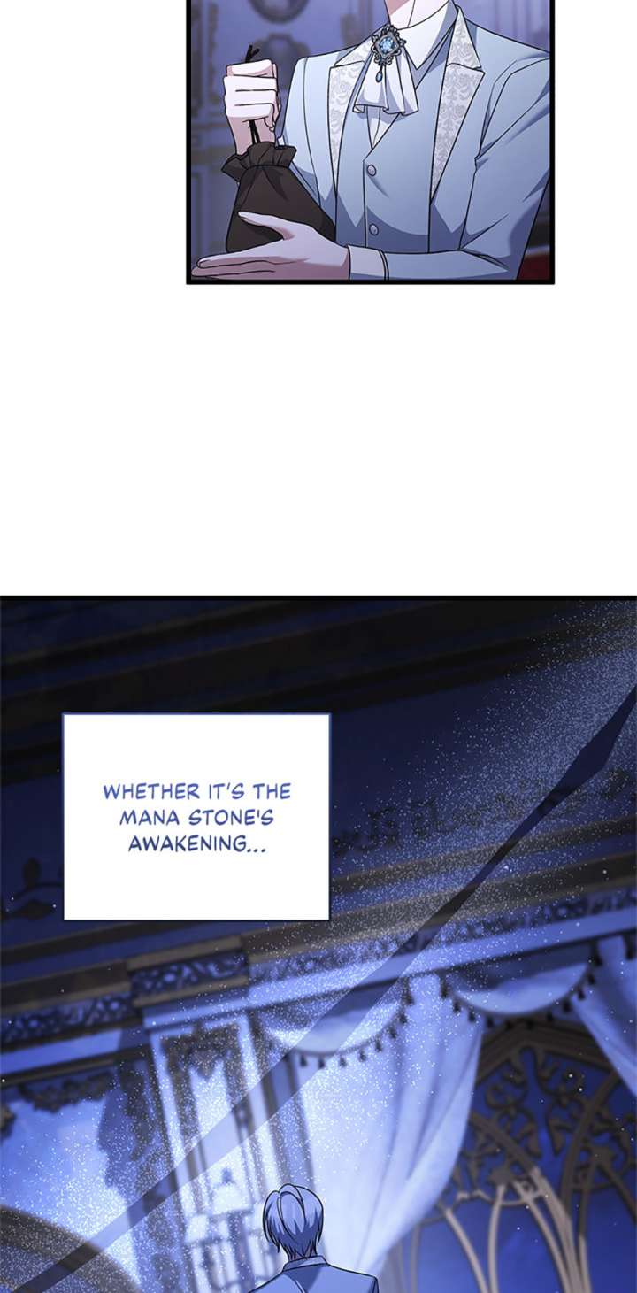 I Plan to Become the Master of a Stolen Family Chapter 87 - Page 8