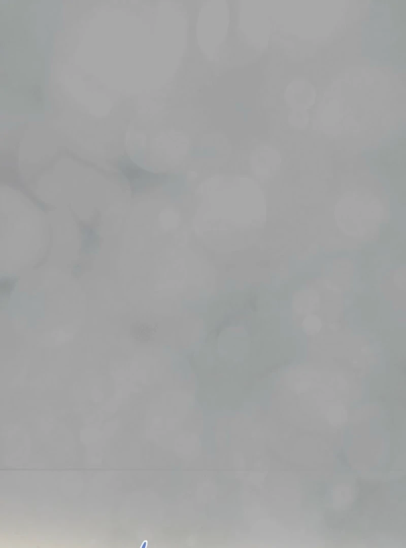 I Stole the Heroine’s First Love Chapter 84 - Page 40