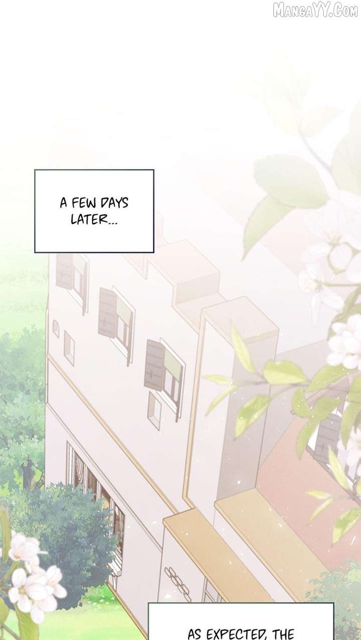 I Taught You With Restraint, so Why Are You Obsessed? Chapter 33 - Page 19