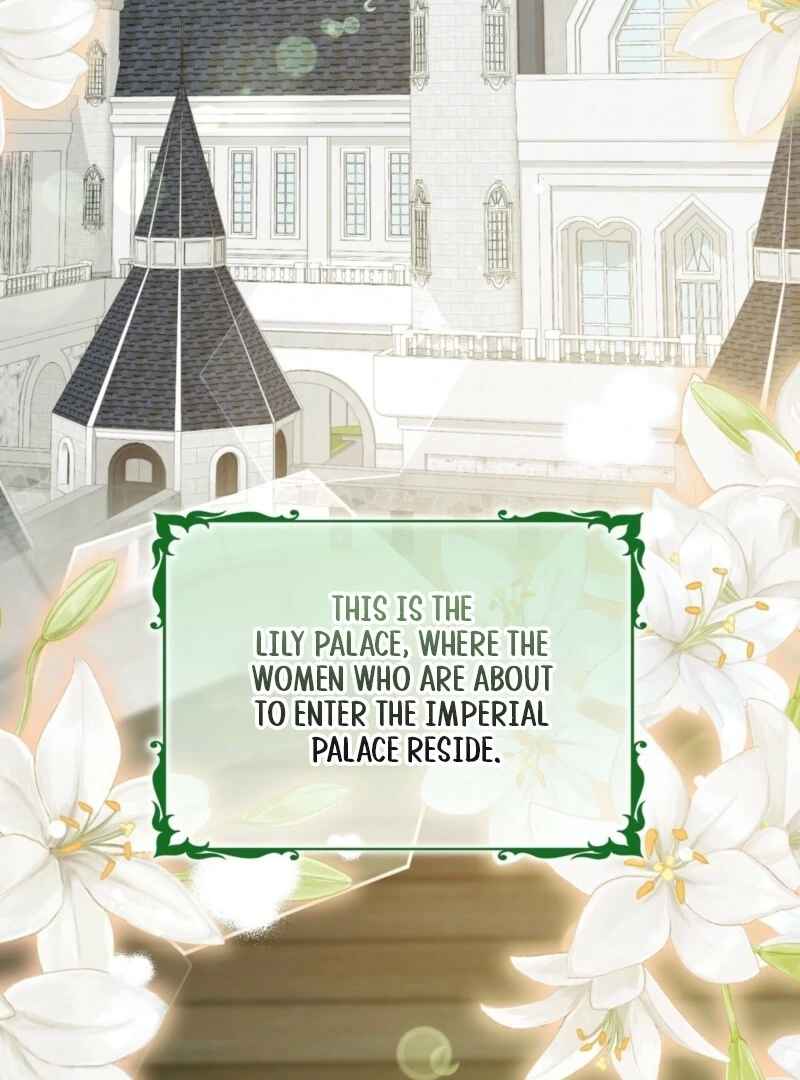 I Want My First Time With a Handsome Knight Chapter 1 - Page 2