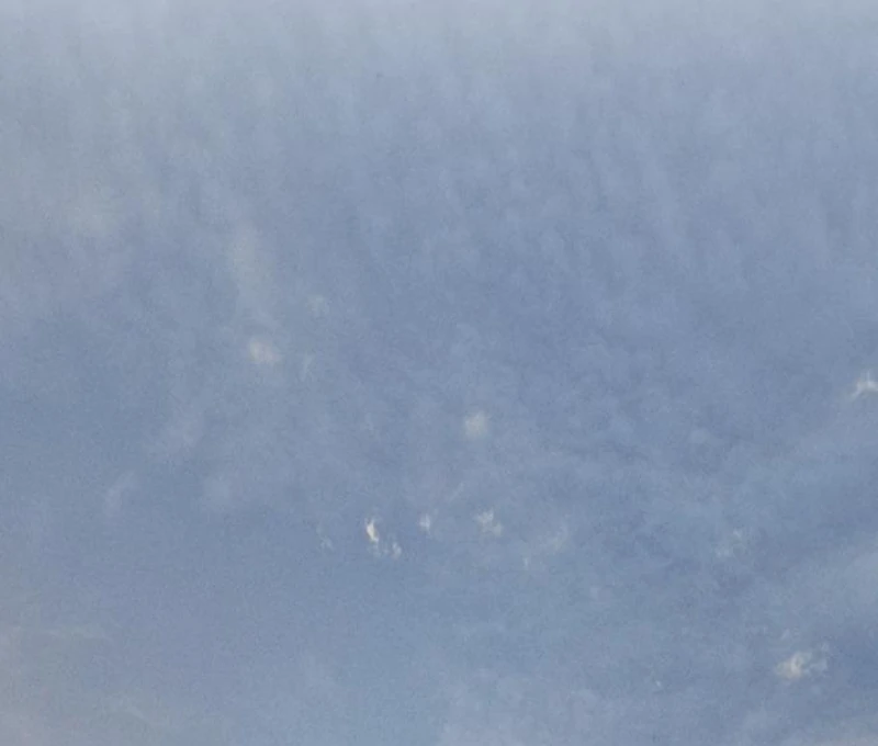 I Want To Be Fooled Chapter 24 - Page 55