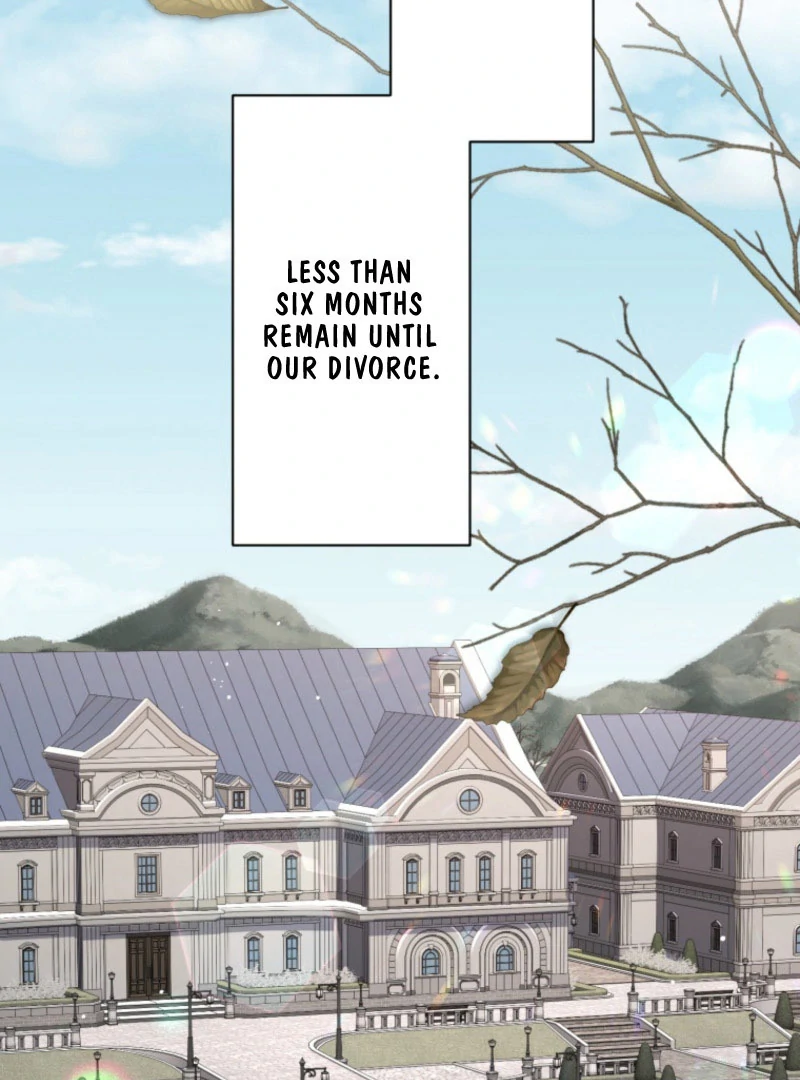 I Wanted a Divorce, But My Husband Became Obsessed With Me Chapter 26 - Page 65