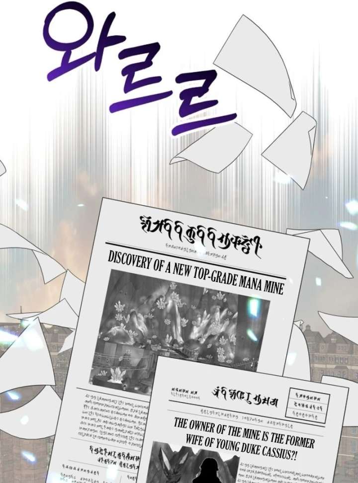 I Will Divorce the Female Lead’s Siscon Brother Chapter 84 - Page 27