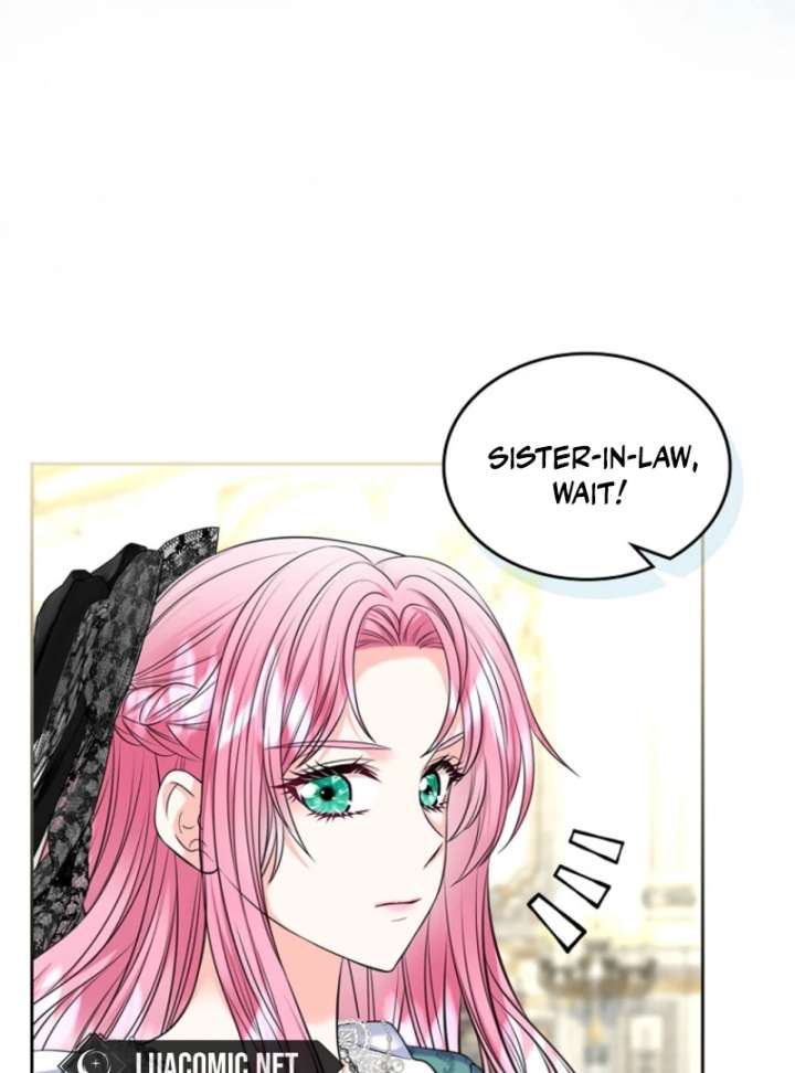 I Will Divorce the Female Lead’s Siscon Brother Chapter 86 - Page 41