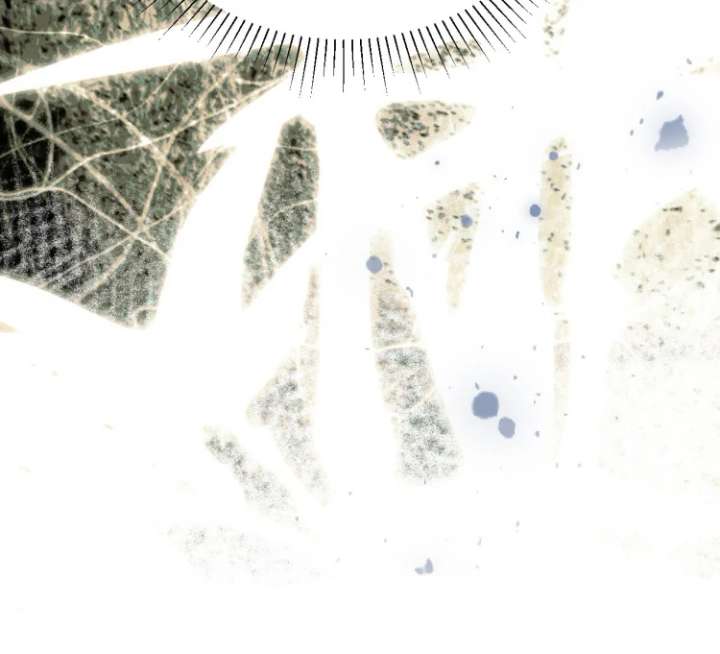 I’d Rather Marry a Memorial Tablet Than Serve as a Concubine Chapter 3 - Page 92