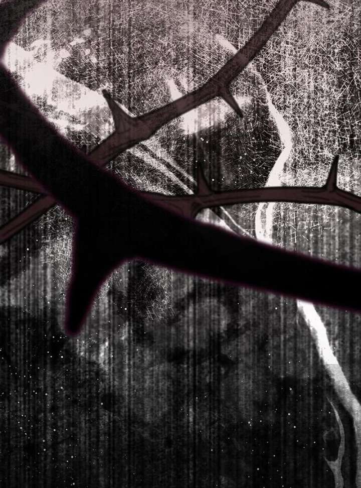 If You Want a Cheeky Sorceress Chapter 26 - Page 4