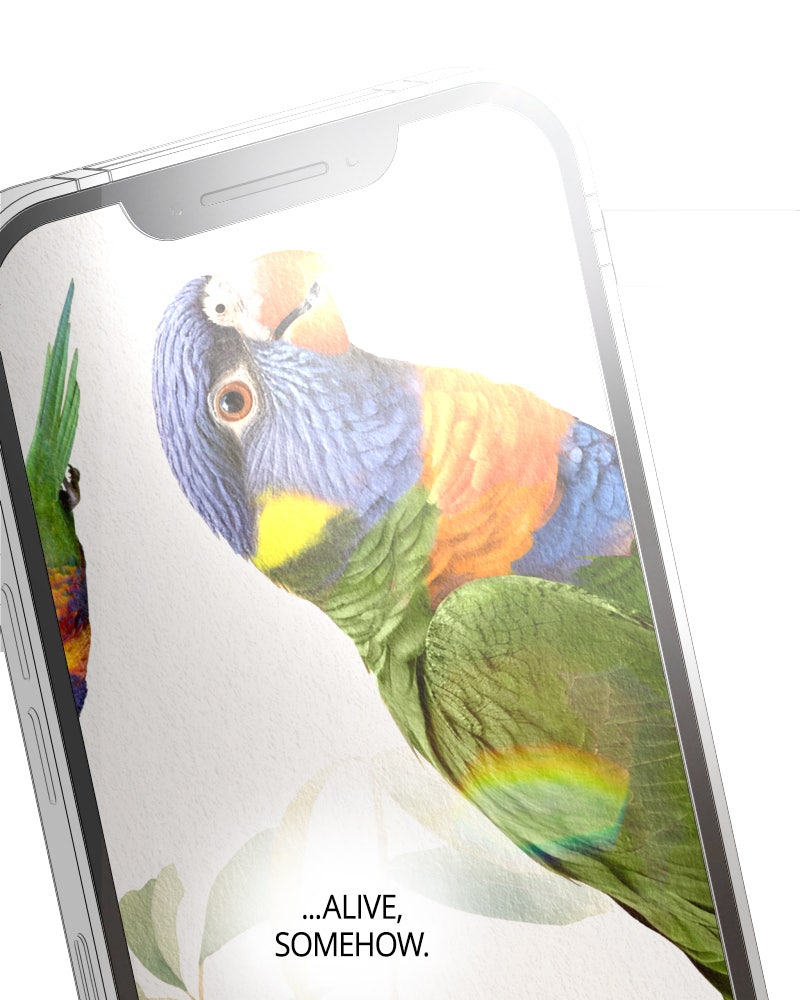 Illip Art High School Students Chapter 57 - Page 46