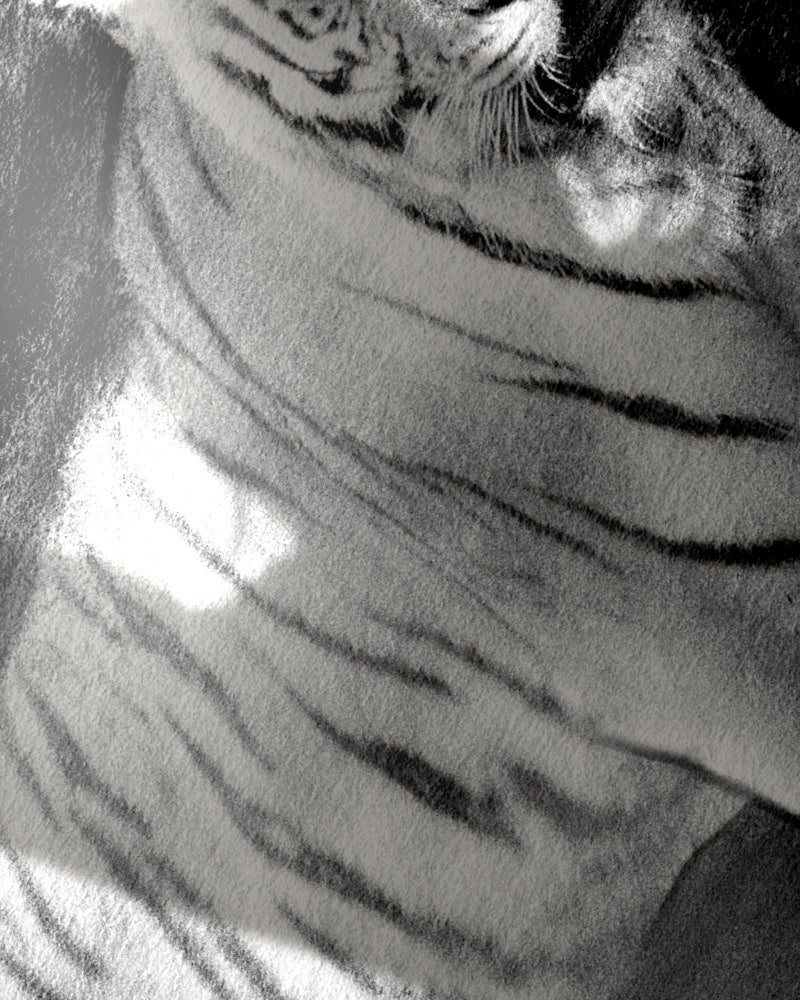 Illip Art High School Students Chapter 58 - Page 5