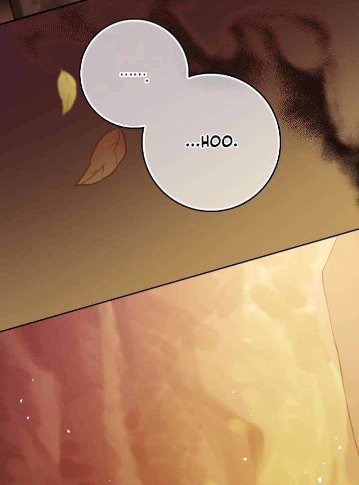 I’m a Fake Bride Who Will Run Away Someday Chapter 19 - Page 151