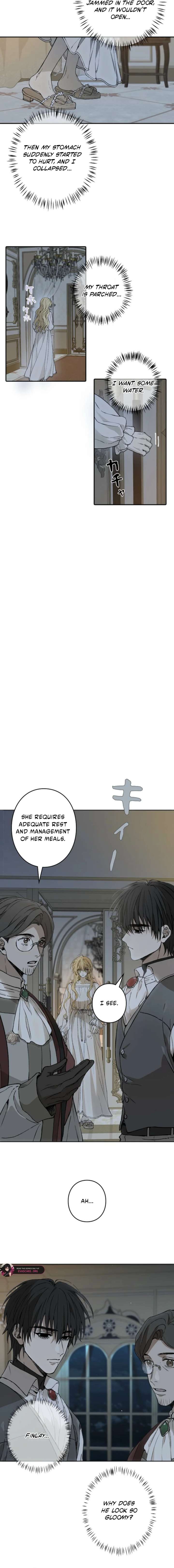 In the Ice Emperor’s Birdcage Chapter 11 - Page 11