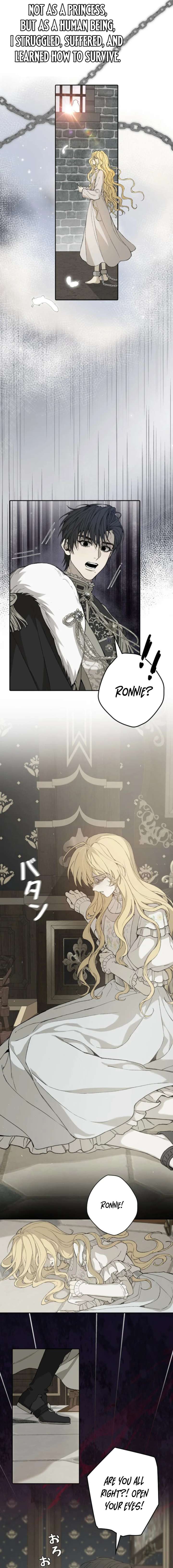 In the Ice Emperor’s Birdcage Chapter 11 - Page 3