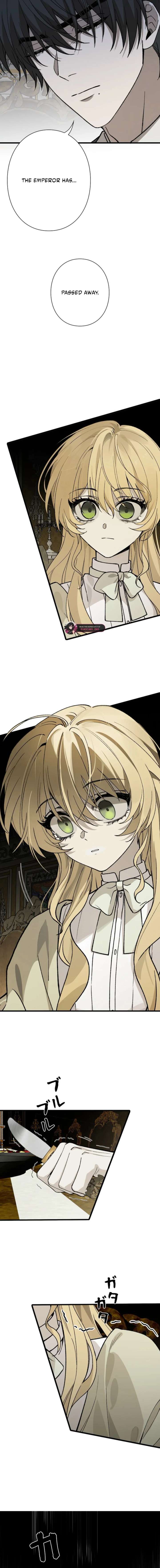 In the Ice Emperor’s Birdcage Chapter 14 - Page 11