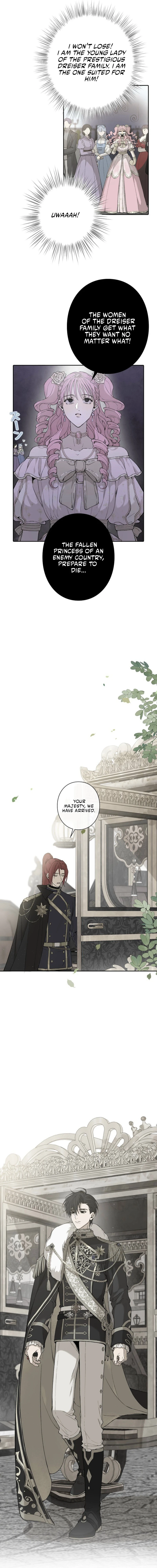 In the Ice Emperor’s Birdcage Chapter 9 - Page 11