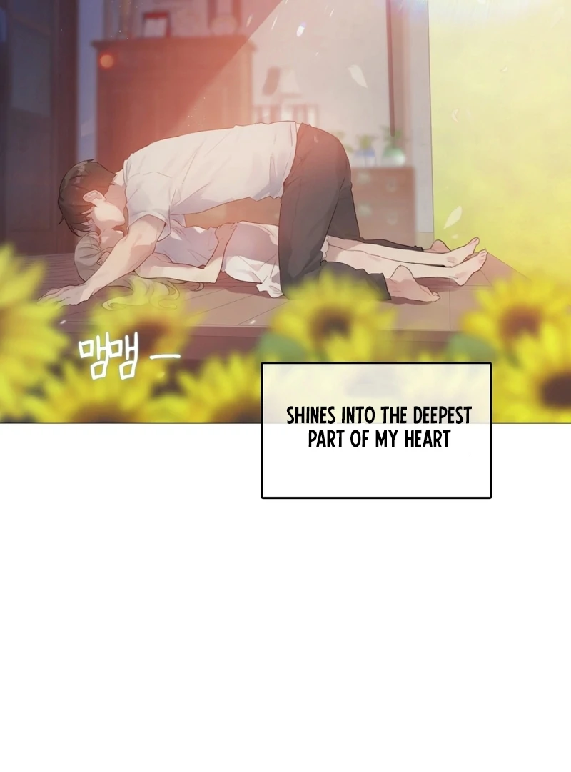 In the Season When Sunflowers Whisper Chapter 1 - Page 7