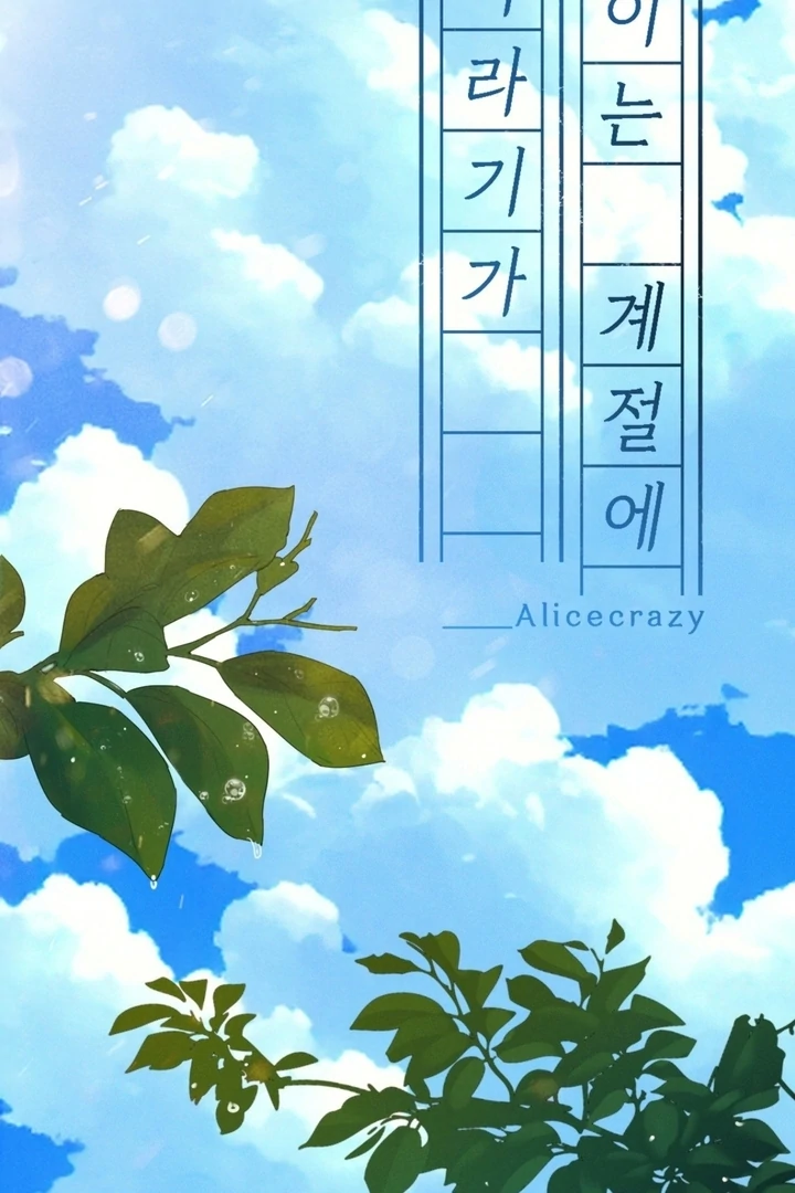 In the Season When Sunflowers Whisper Chapter 6 - Page 12