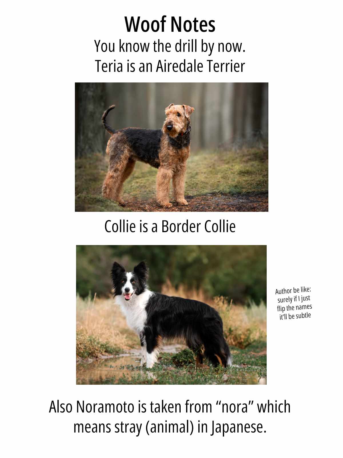 Isegure – Isekai Cheat Musou Ore TUEEE-kei Ikiri Tenseisha ni Kamaseinu ni sare Tsuzuketa Elite Kishi, Chou Gureru. Chapter 9 - Page 48