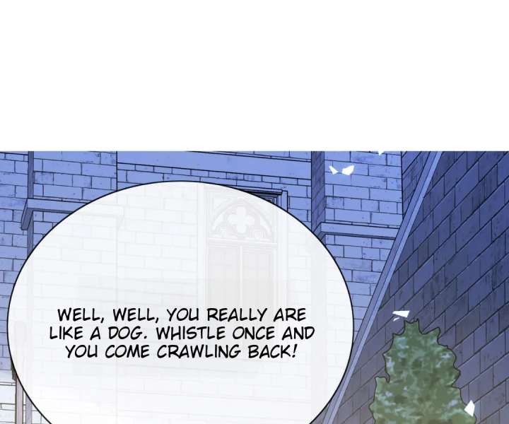 It Is Said That I Am a Fairy Princess Chapter 54 - Page 1