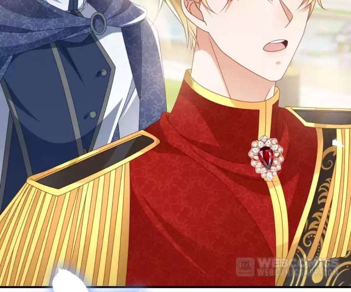 It Is Said That I Am a Fairy Princess Chapter 64 - Page 11