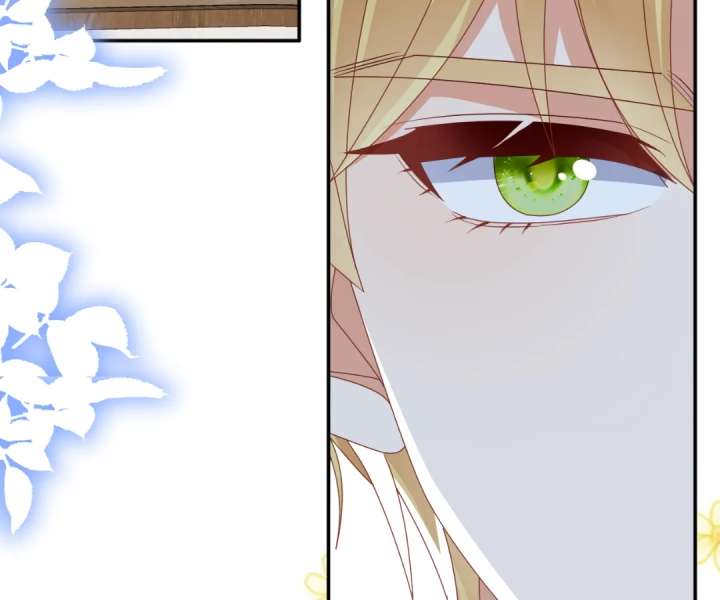 It Is Said That I Am a Fairy Princess Chapter 66 - Page 48