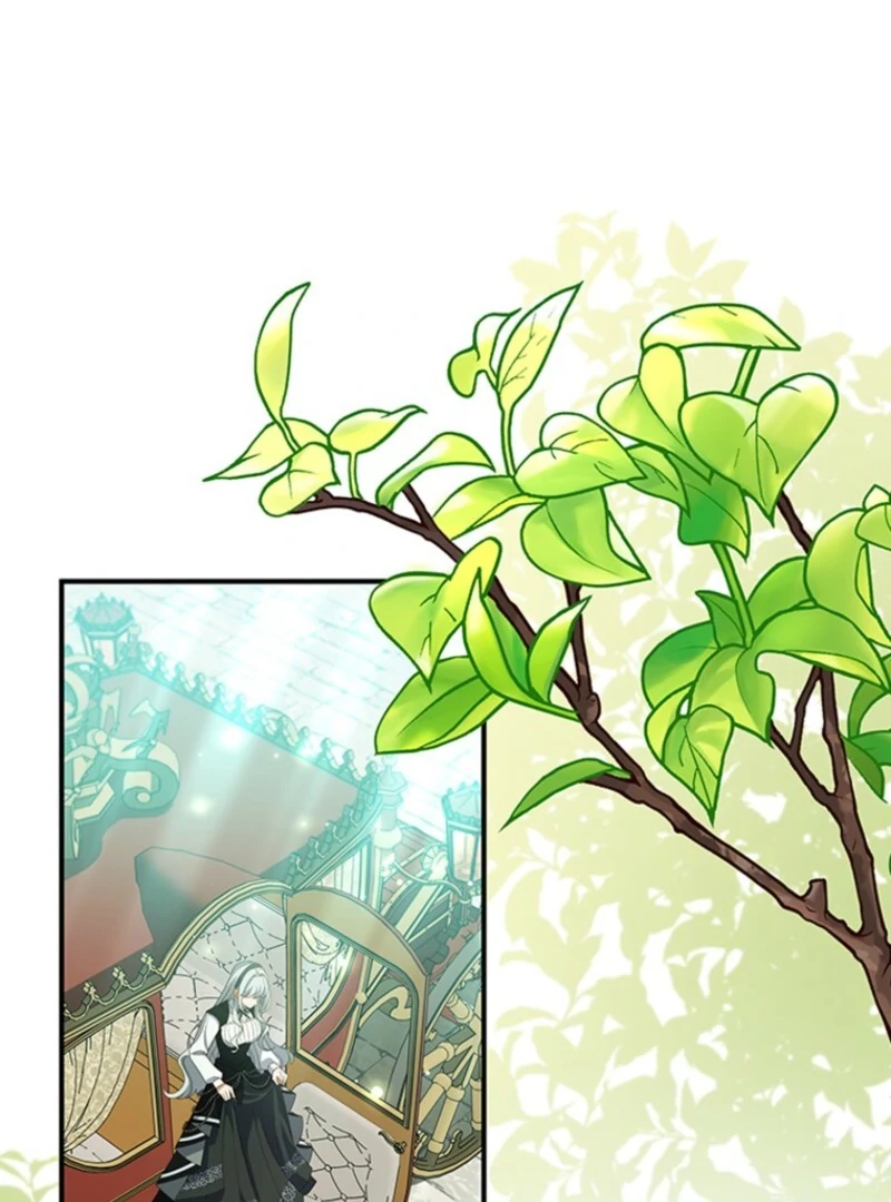 It’s Annoying Because My Childhood Friend Is an Archmage Chapter 50 - Page 42