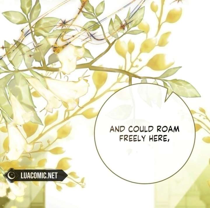 It’s My Destiny to Be the Hero’s Saviour Chapter 163 - Page 84