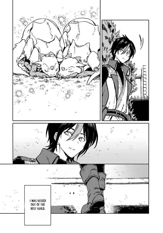 I’ve Been Kicked Out of an S-Rank Guild. But Only I Can Communicate With Dragons. Before I Knew It, I Became the Greatest Dragon Knight Chapter 1 - Page 41