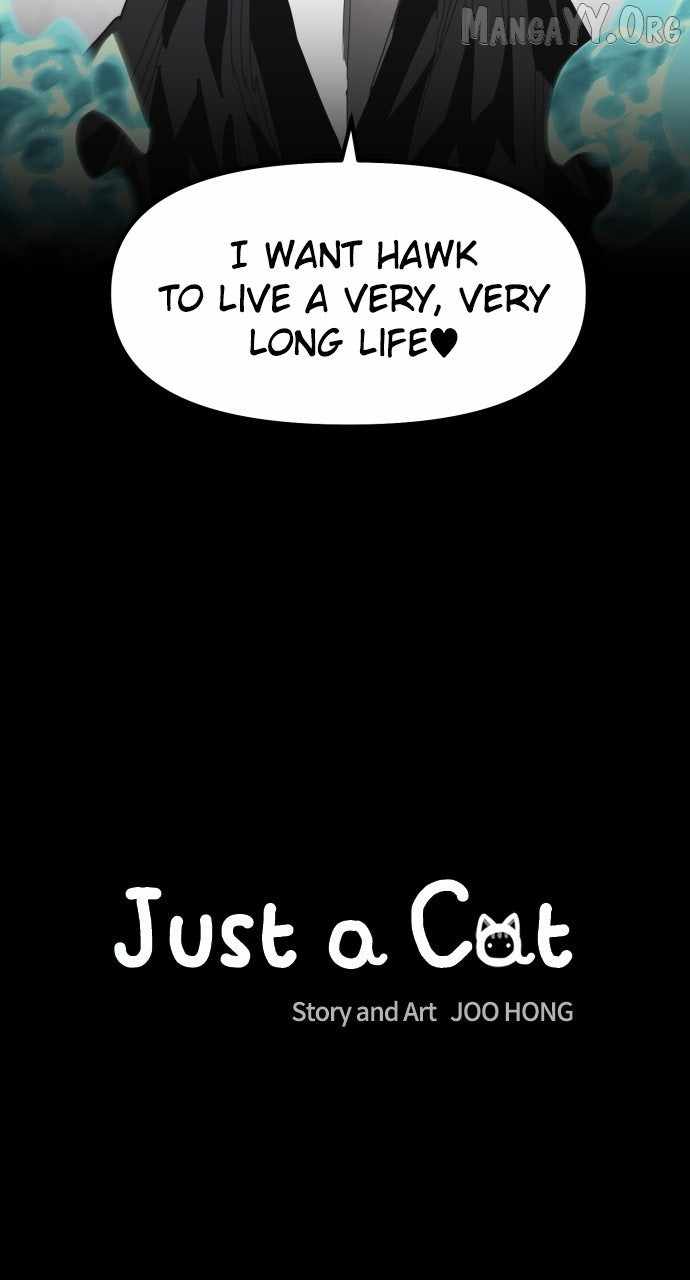 Just a Cat Chapter 34 - Page 10
