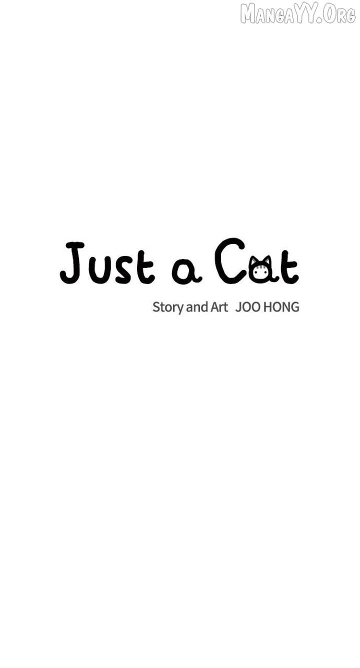 Just a Cat Chapter 35 - Page 6
