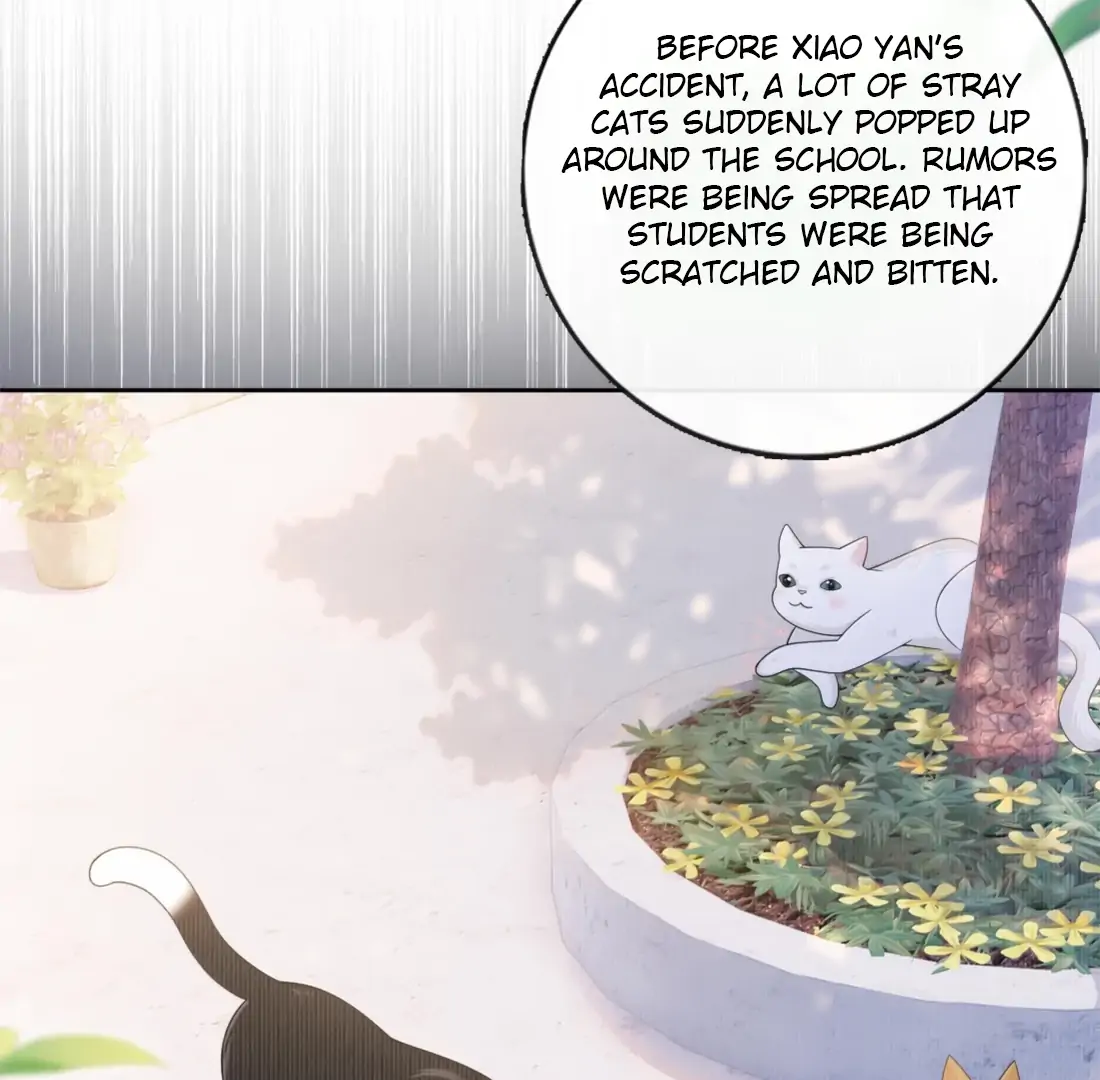 Kiss Me in the Dark of Night Chapter 24 - Page 41