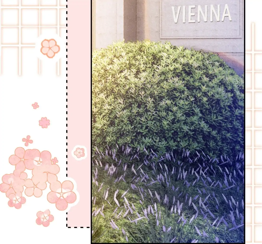 Kiss Me in the Dark of Night Chapter 31 - Page 30