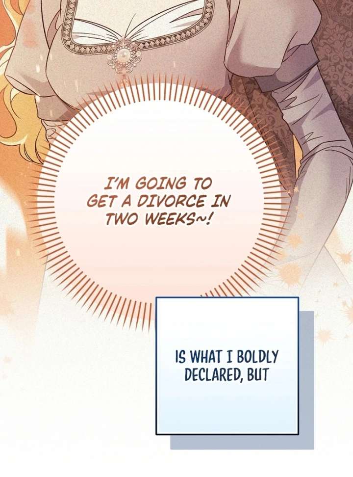 Let’s Divorce, Not Obsess! Chapter 16 - Page 2