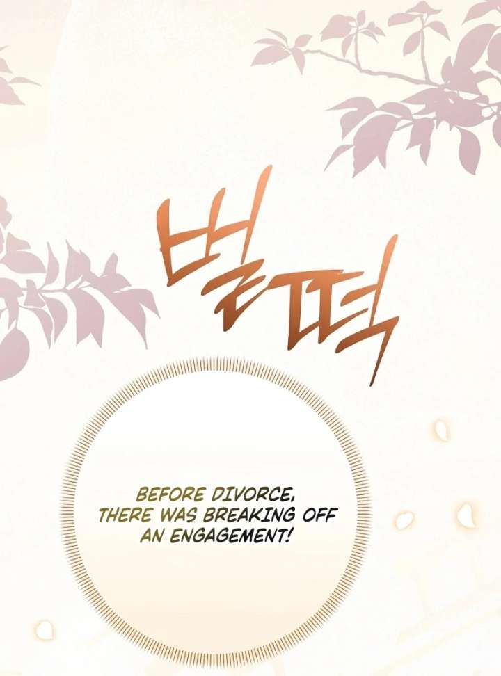 Let’s Divorce, Not Obsess! Chapter 16 - Page 19