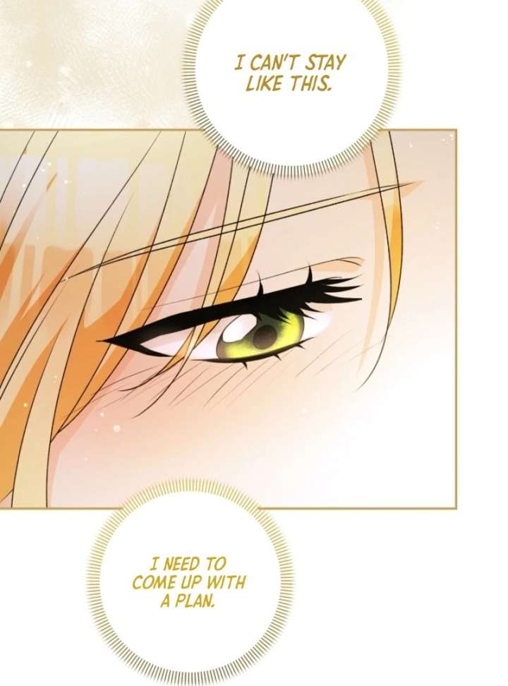 Let’s Divorce, Not Obsess! Chapter 4 - Page 147