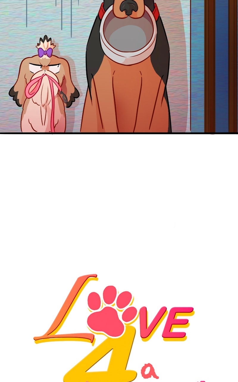 Love 4 a Walk Chapter 64 - Page 5